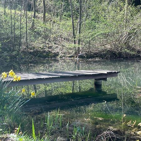 Ferienhaus Holzer Stressless Traisen Zewnętrze zdjęcie